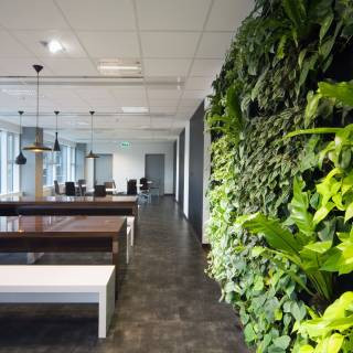 Green House_ irodai étkező zöld fallal.jpg