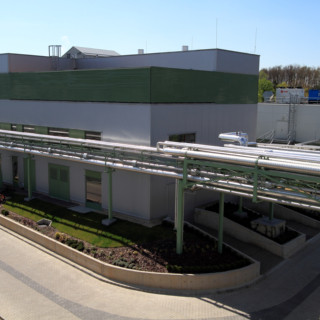 TEVA_018.JPG