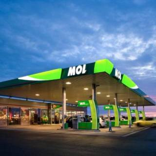 mol-1.jpg
