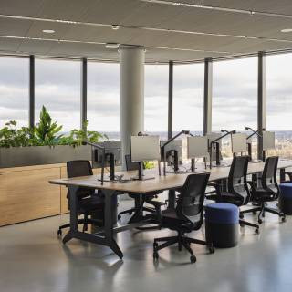 MOL Campus Interior0310.jpg