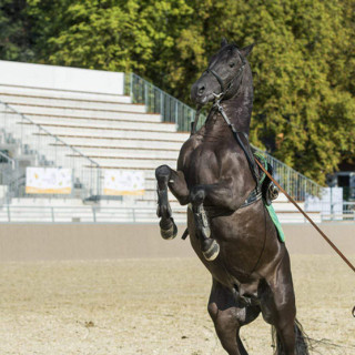 Szilvásváradi Lovas versenyközpont 3.jpg